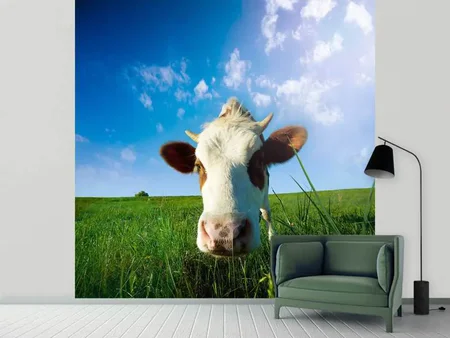 Papier peint photo La vache