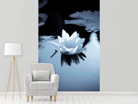 Wall Mural Photo Wallpaper Black And White Photograph Waterlily