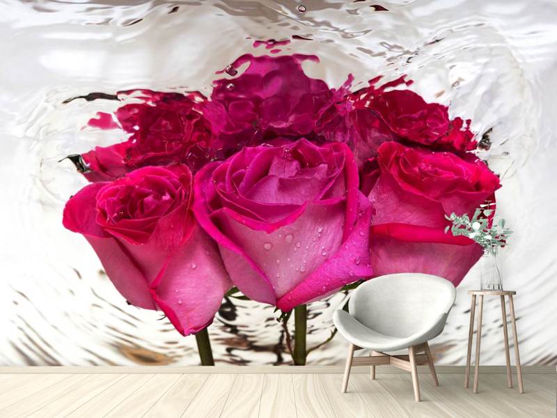Wall Mural Photo Wallpaper The Rose Reflection