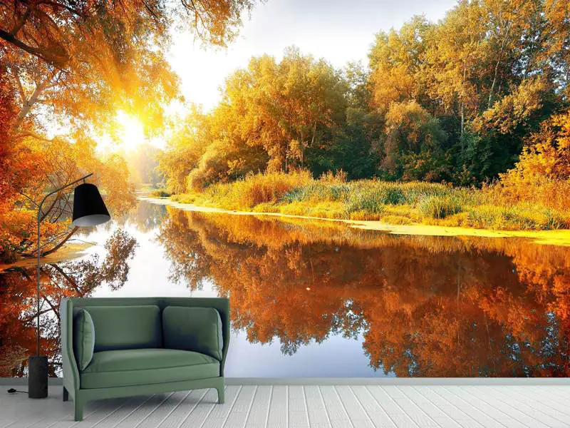 Wall Mural Photo Wallpaper Forest Reflection In Water