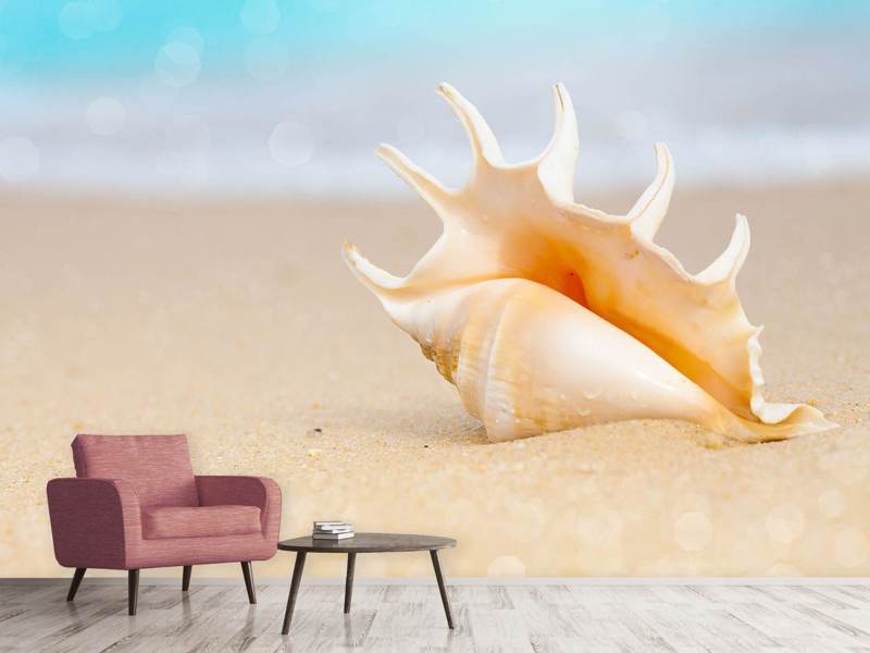 Wall Mural Photo Wallpaper The Shell On The Beach