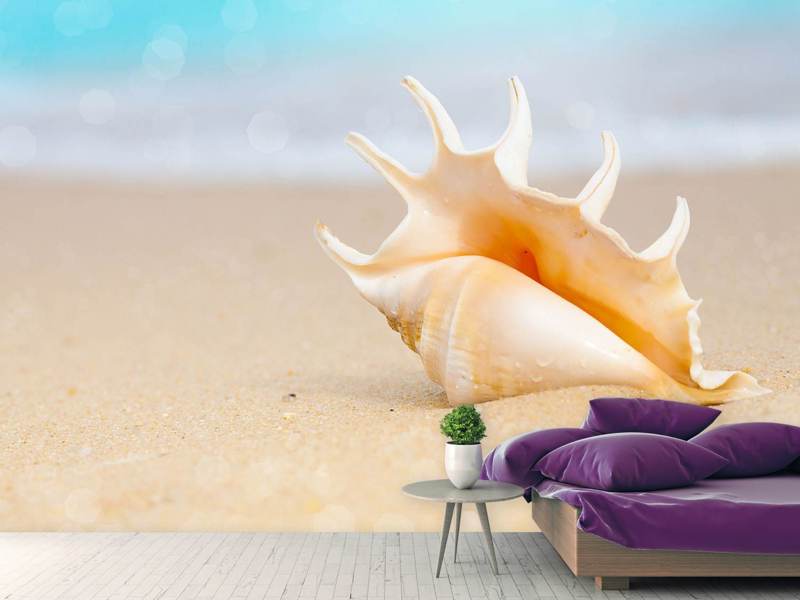 Fototapet The Shell On The Beach