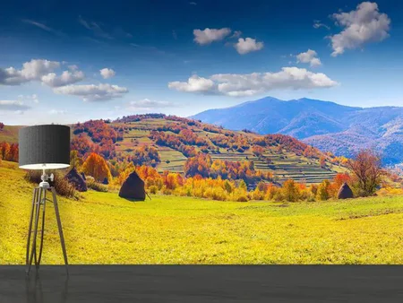 Fotobehang Autumnal Mountain Landscape