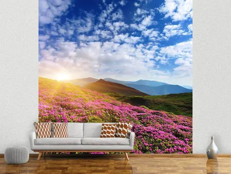 Wall Mural Photo Wallpaper Flowery Mountain Landscape