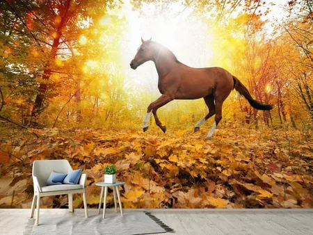 Wall Mural Photo Wallpaper Whole Blood In Autumn Forest