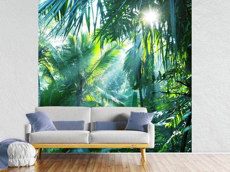 Wall Mural Photo Wallpaper In Tropical Forest
