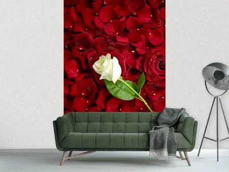 Papier peint photo Lit de roses