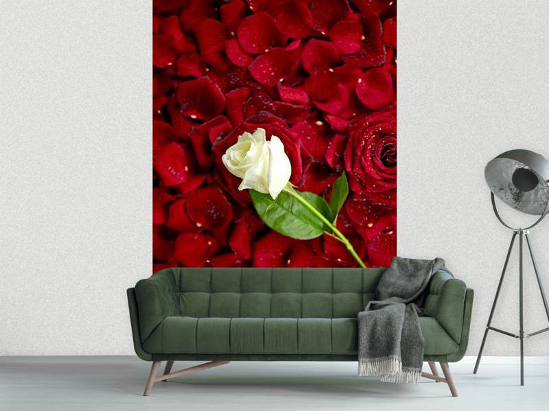 Wall Mural Photo Wallpaper Bed Of Roses