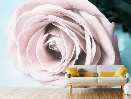 Papier peint photo Rose pastel