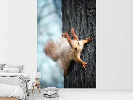 Wall Mural Photo Wallpaper The Squirrel
