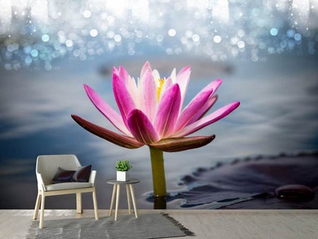 Papier peint photo Lotus dans la rosée du matin