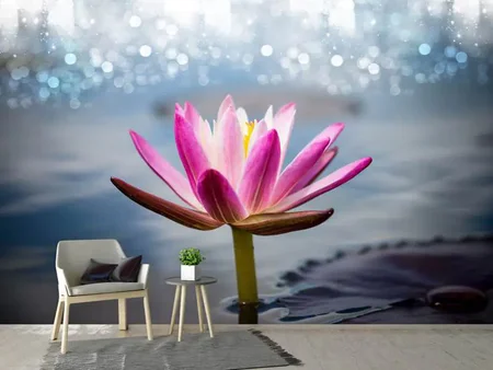 Wall Mural Photo Wallpaper Lotus In The Morning Dew