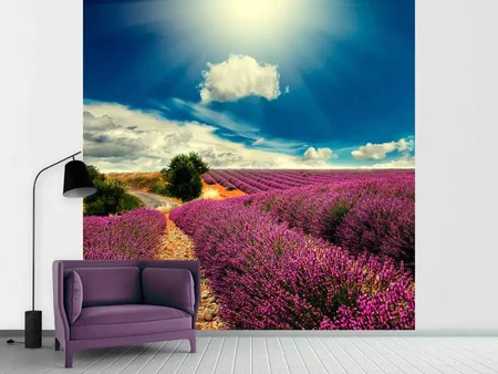 Fototapet The Lavender Valley