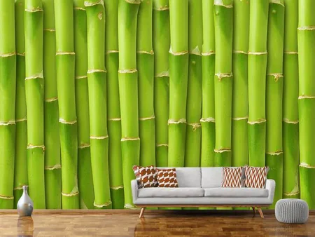 Fotomurale Muro di bambù