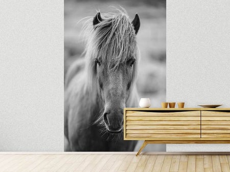 Papier peint photo Un cheval se trouve dans le couloir
