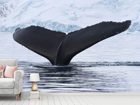 Papier peint photo La baleine à bosse