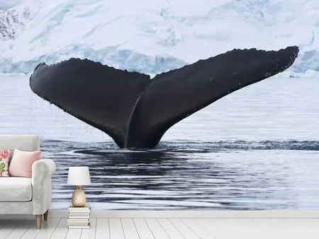 Fotobehang The Humpback Whale