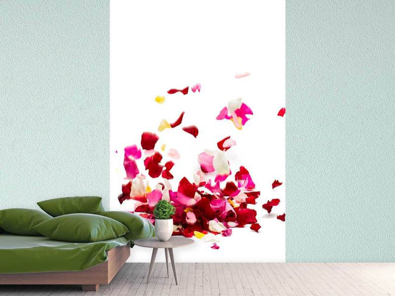 Wall Mural Photo Wallpaper Bed Of Rose Foliage