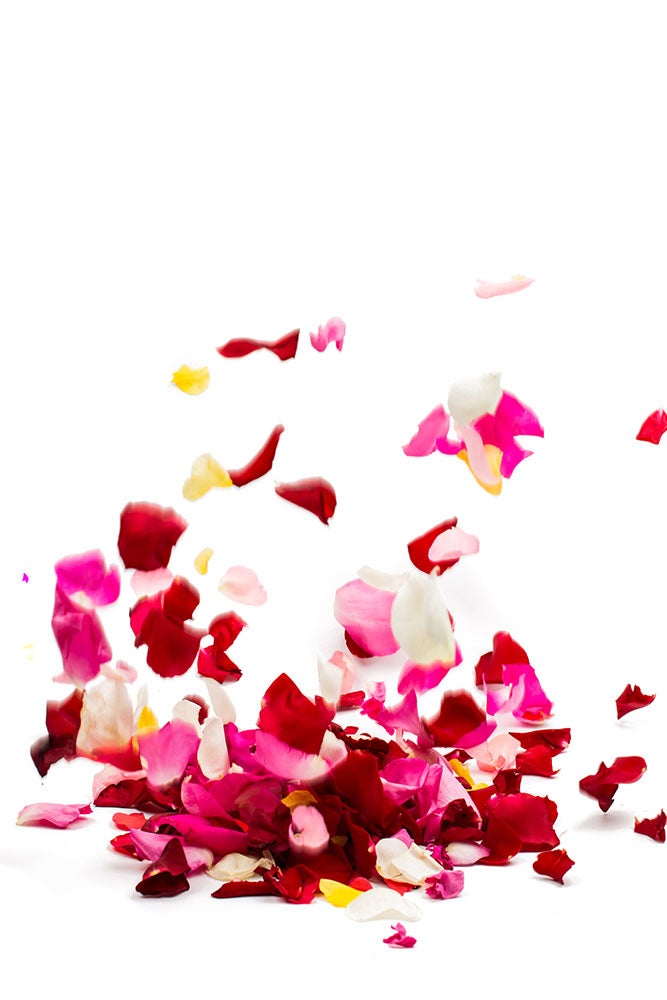 Fototapet Bed Of Rose Foliage