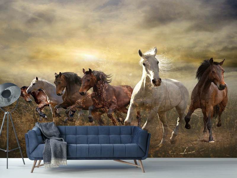Wall Mural Photo Wallpaper Wild Wild Horses