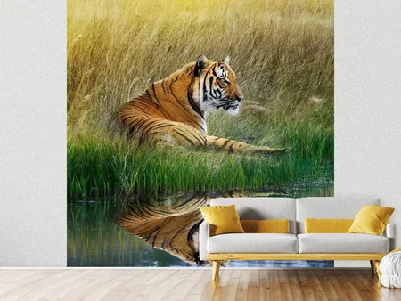 Fotobehang The Tiger