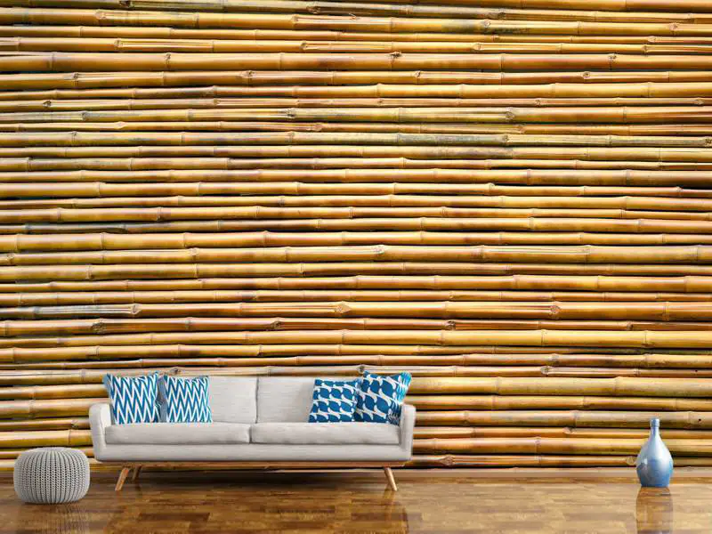 https://cdn.betterwalls.com/pim/pr/WP/50548619/Photo-Wallpaper-Horizontal-Bamboo-Wall_big02.jpg