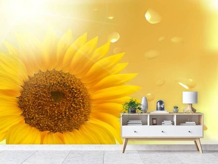 Wall Mural Photo Wallpaper Sunflower in Morning dew