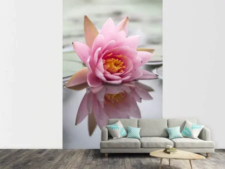 Papier peint photo Lotus