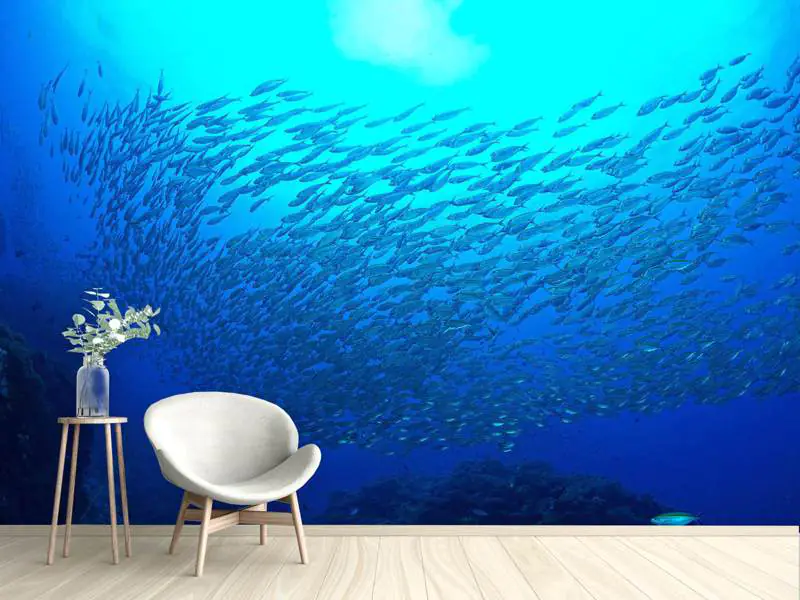 Wall Mural Photo Wallpaper Fish World