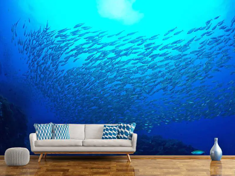 Wall Mural Photo Wallpaper Fish World