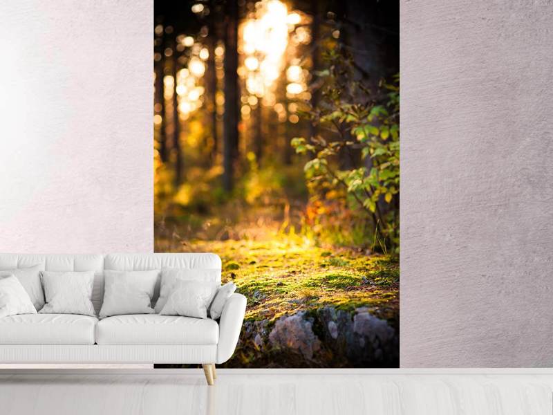 Wall Mural Photo Wallpaper The Forest In The Background
