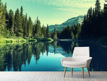 Wall Mural Photo Wallpaper The Music Of Silence In The Mountains