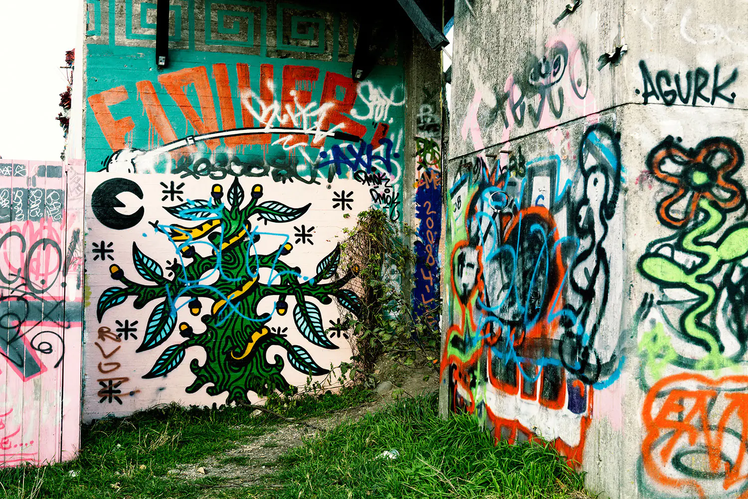 Valokuvatapetti Graffiti In The Backyard