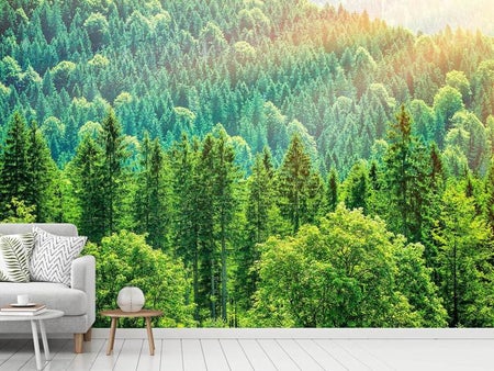 Wall Mural Photo Wallpaper The Forest Hill