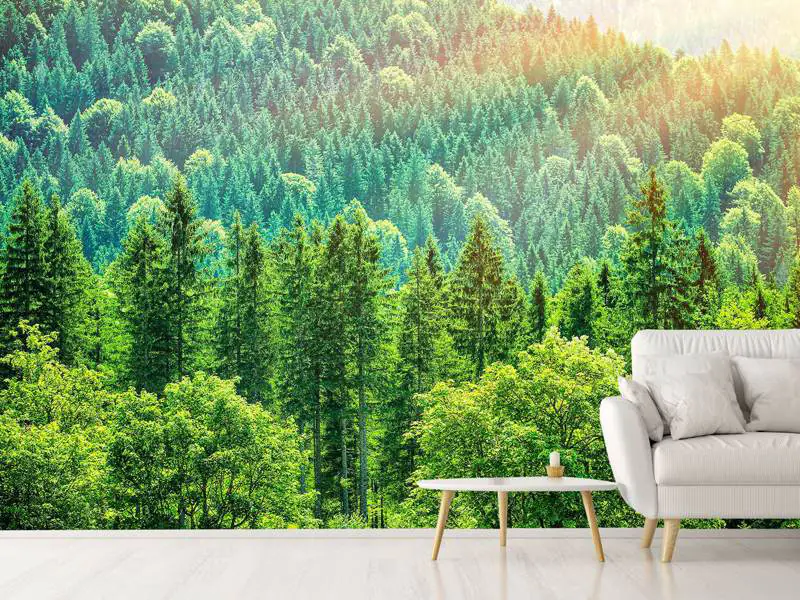 Wall Mural Photo Wallpaper The Forest Hill
