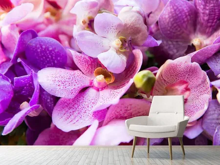 Wall Mural Photo Wallpaper Orchid Paradise