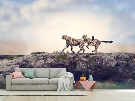 Fotomurale Due ghepardi