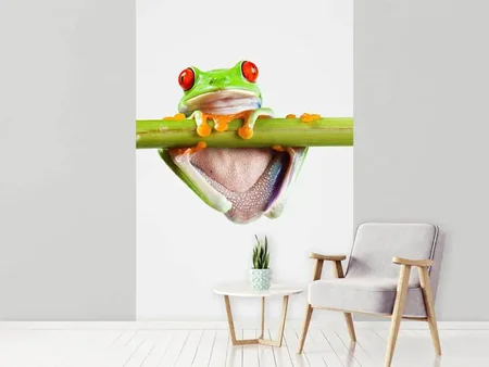 Valokuvatapetti Frog Acrobatics