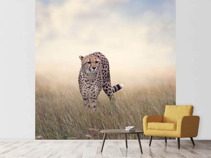 Wall Mural Photo Wallpaper The Cheetah