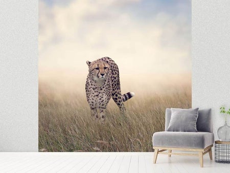 Fototapet The Cheetah
