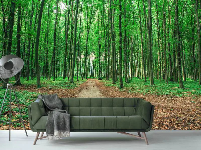Wall Mural Photo Wallpaper Pine Forests