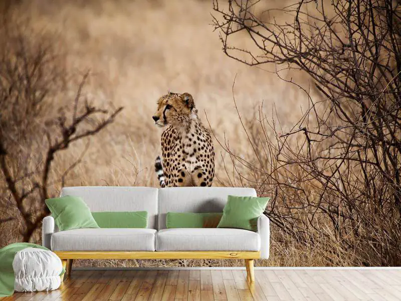 Wall Mural Photo Wallpaper Elegant Cheetah