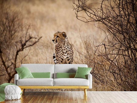 Fotobehang Elegant Cheetah
