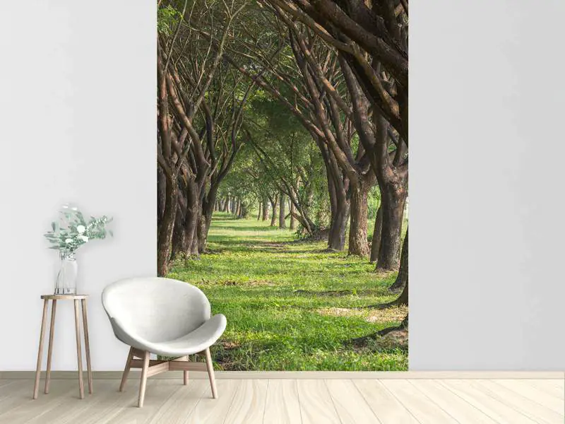 Wall Mural Photo Wallpaper In The Forest