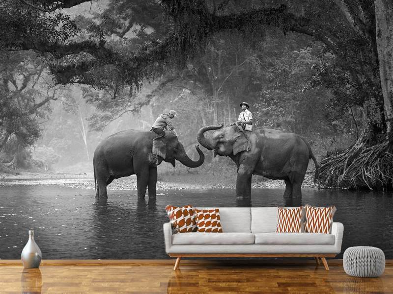 Fototapete Zwei Elefanten
