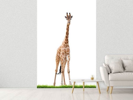Fotobehang The Long Giraffe