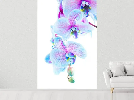 Papier peint photo Orchidée papillon