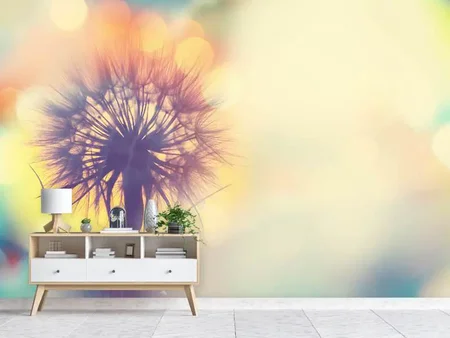 Wall Mural Photo Wallpaper The Dandelion In The Light